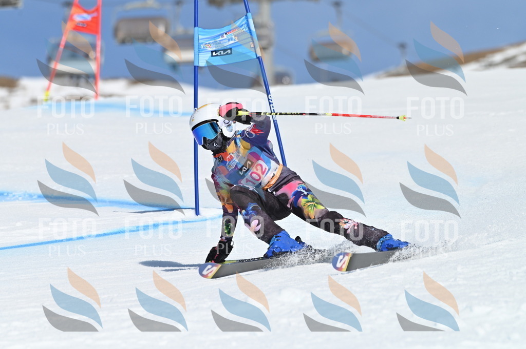 BGV_9497 | holidayphoto