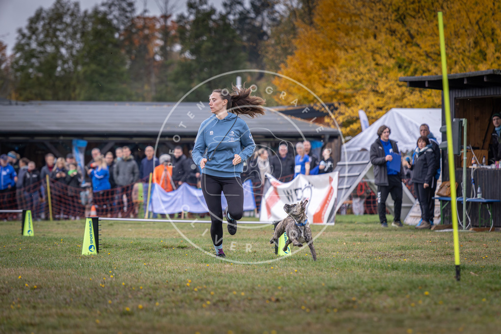 Pfotenfotografie_DV3A2920 | Hundefotografie, Tierfotograf, Pfotenfotografie, Fotoshooting Hund, Hunde Portrait, Hundesport, Hundeportraits, Heideshooting, Hunde, Sportfotograf, Hundefotograf, Turnierhundsport, THS,  - Realisiert mit Pictrs.com