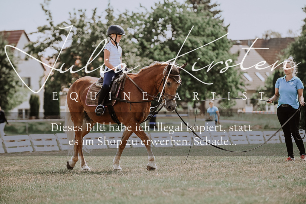 DSC_7812 | Pferde- und Turnierfotografie in Westsachsen. Pferdeportraits, Auftragszeichnungen und intuitive Kunst.
