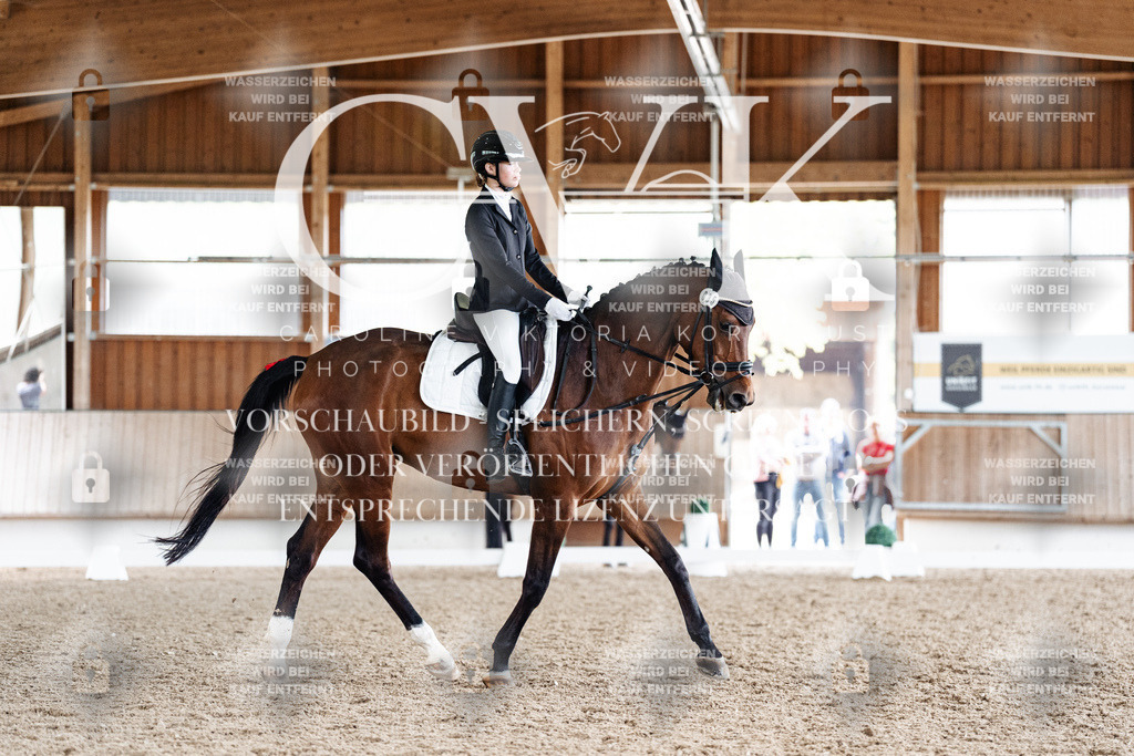 CK900704 | Turnierfotografie Pferdefotografie Trier Rheinland-Pfalz Pferdesport Reitsport Tierfotografie Sportfotografie Pferdevideo Pferdevideografie Equestrianvideography equestrianphotography  - Realisiert mit Pictrs.com