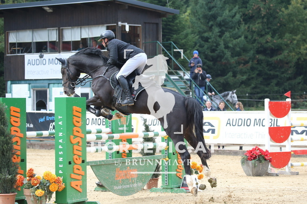 DL2Q0897 | Willkommen bei Brunnmayr - Design & Fotografie – Ihrem Spezialisten für Reitturniere und Pferdeveranstaltungen in Oberösterreich, Salzburg und Bayern! Seit über 17 Jahren sind wir leidenschaftlich dabei.
