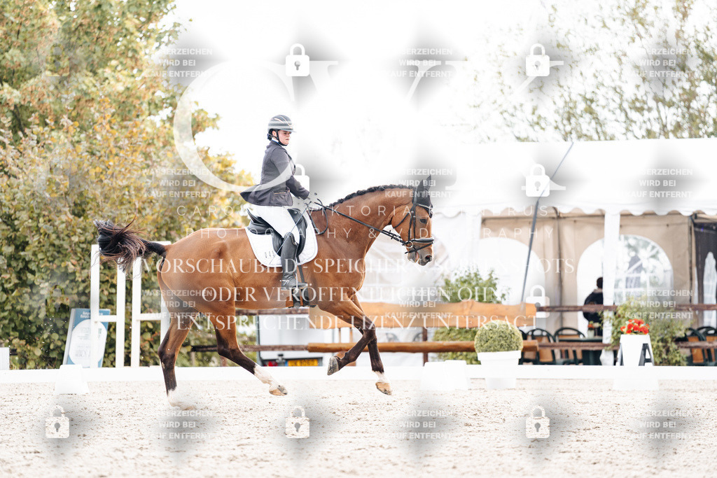CK900780 | Turnierfotografie Pferdefotografie Trier Rheinland-Pfalz Pferdesport Reitsport Tierfotografie Sportfotografie Pferdevideo Pferdevideografie Equestrianvideography equestrianphotography  - Realisiert mit Pictrs.com