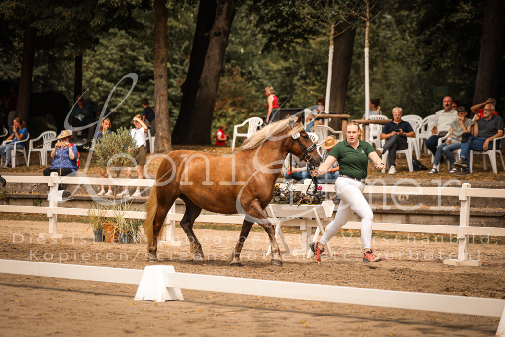 5.Sa00007 | Leoni Ertmer Photography - Realisiert mit Pictrs.com