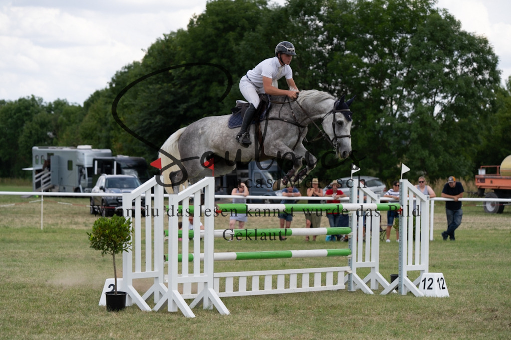 A7V02475 | Pferdefotograf