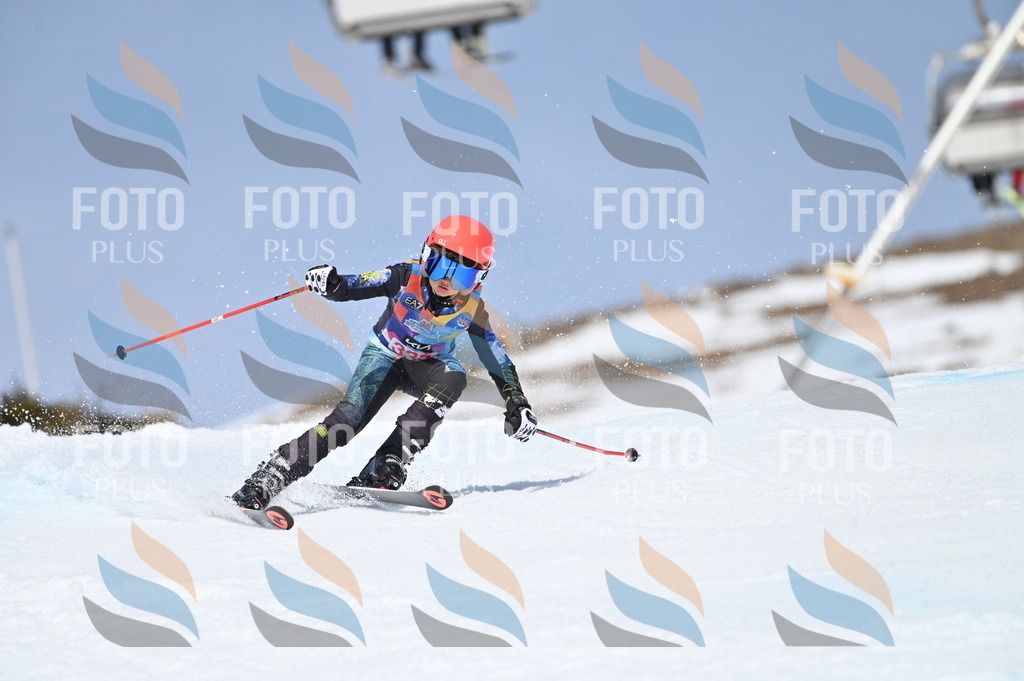 BGV_3334 | holidayphoto