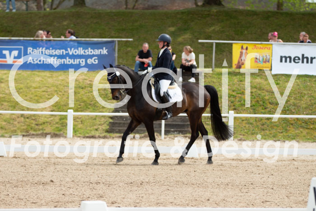 IMG_6902 | Creatify Fotografie