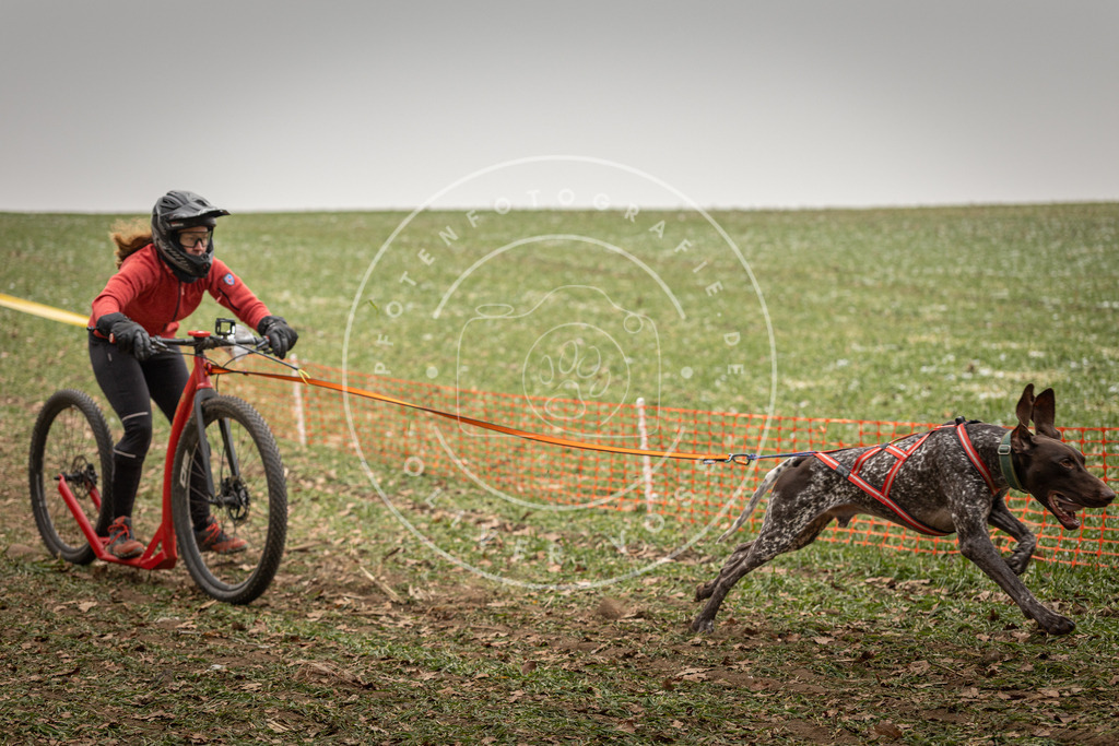 Pfotenfotografie_DV3A3646 | Hundefotografie, Tierfotograf, Pfotenfotografie, Fotoshooting Hund, Hunde Portrait, Hundesport, Hundeportraits, Heideshooting, Hunde, Sportfotograf, Hundefotograf, Turnierhundsport, THS,  - Realisiert mit Pictrs.com
