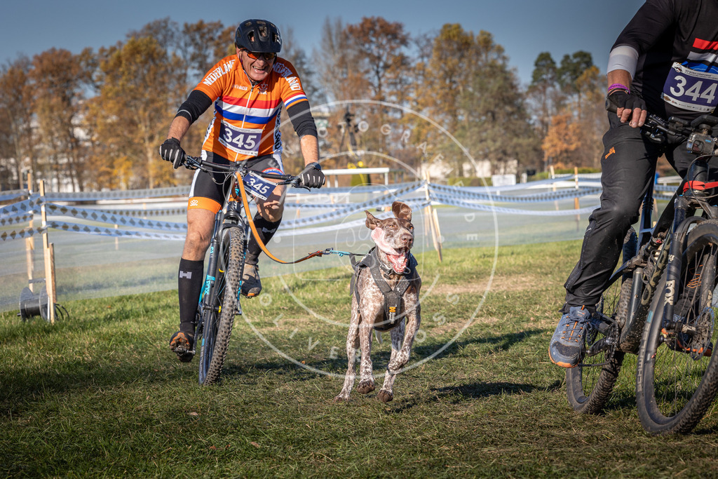 CaniXpix_0L8A6008 | Hundefotografie, Tierfotograf, Pfotenfotografie, Fotoshooting Hund, Hunde Portrait, Hundesport, Hundeportraits, Heideshooting, Hunde, Sportfotograf, Hundefotograf, Turnierhundsport, THS,  - Realisiert mit Pictrs.com