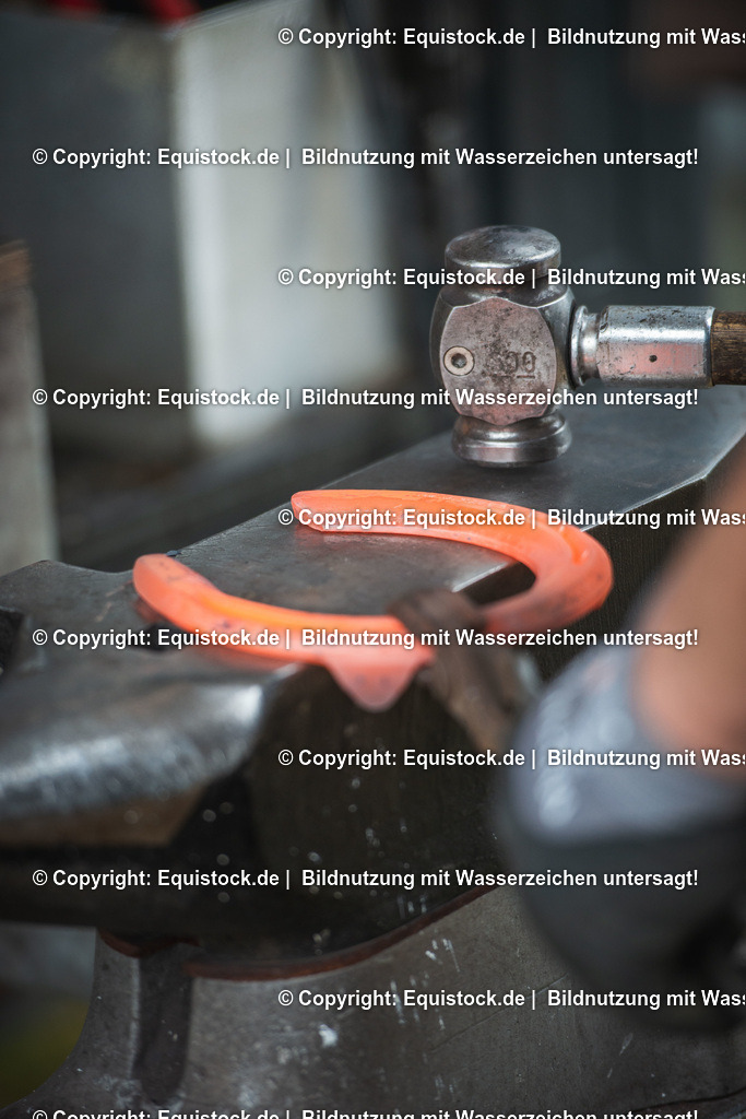 20190711_Hufschmied_0009 | Foto: Thomas Hartig