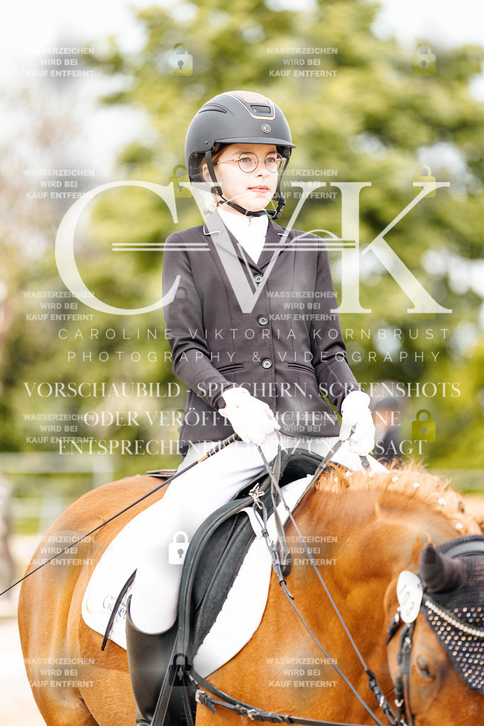 CK904572 | Turnierfotografie Pferdefotografie Trier Rheinland-Pfalz Pferdesport Reitsport Tierfotografie Sportfotografie Pferdevideo Pferdevideografie Equestrianvideography equestrianphotography  - Realisiert mit Pictrs.com