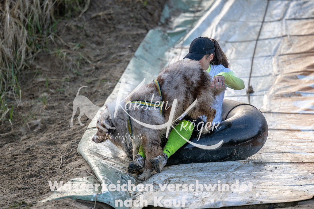 1639_ZZ93234 | kk-dogfotos