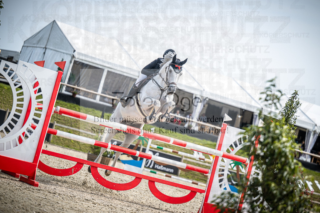 DOS_9360 | Entdecke hochwertige Reitturnierfotos von Foto Oger. Professionell, emotional und authentisch – jetzt Lieblingsmomente im Shop bestellen.Deutschlandweite Turnierfotografie. - Realisiert mit Pictrs.com