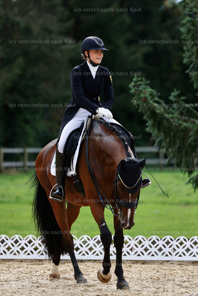 11-003-Dressur S___-StoibPH-1094 | working equitationturnier fotograf videograf stoibphotography marixx film working equitation deutschland reitsport turnierfotografie eventfotografie equestrian events