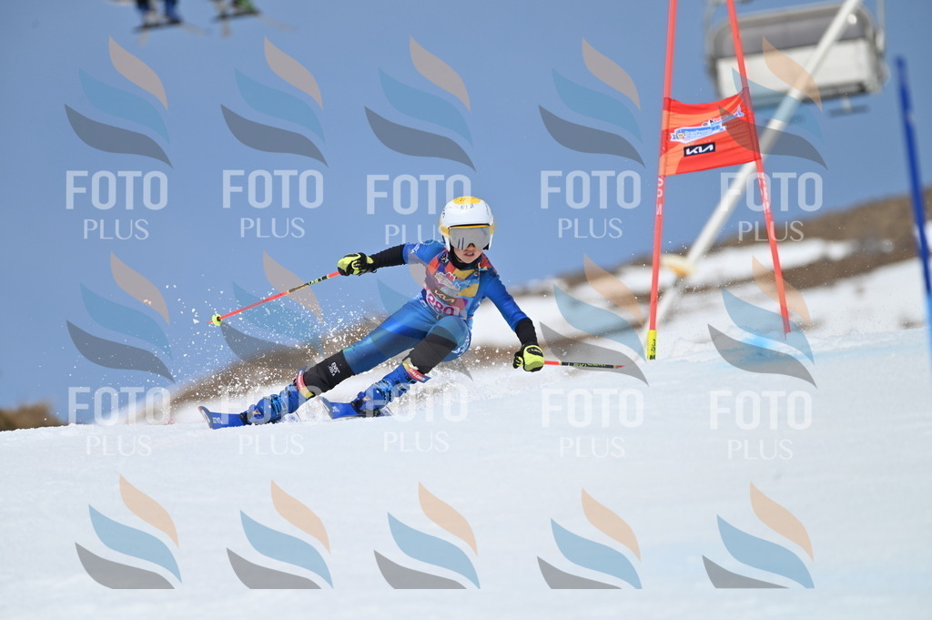 BGV_2396 | holidayphoto