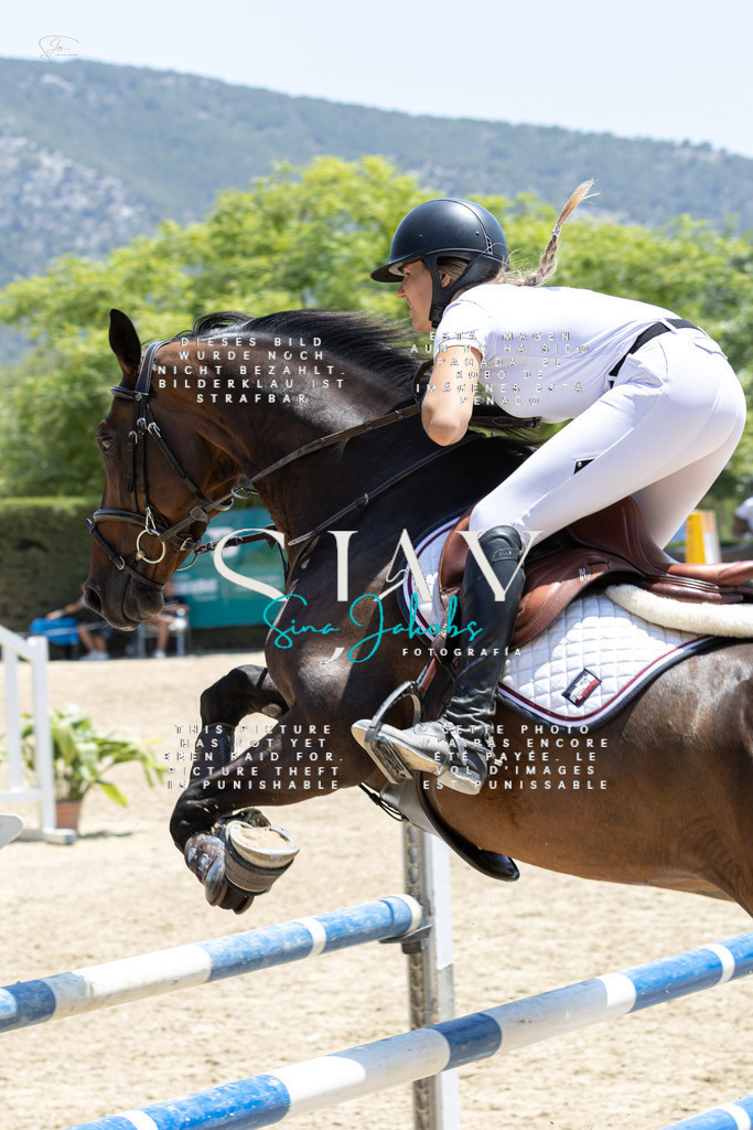 IMG_7497 | s-jay-photography - Realisiert mit Pictrs.com