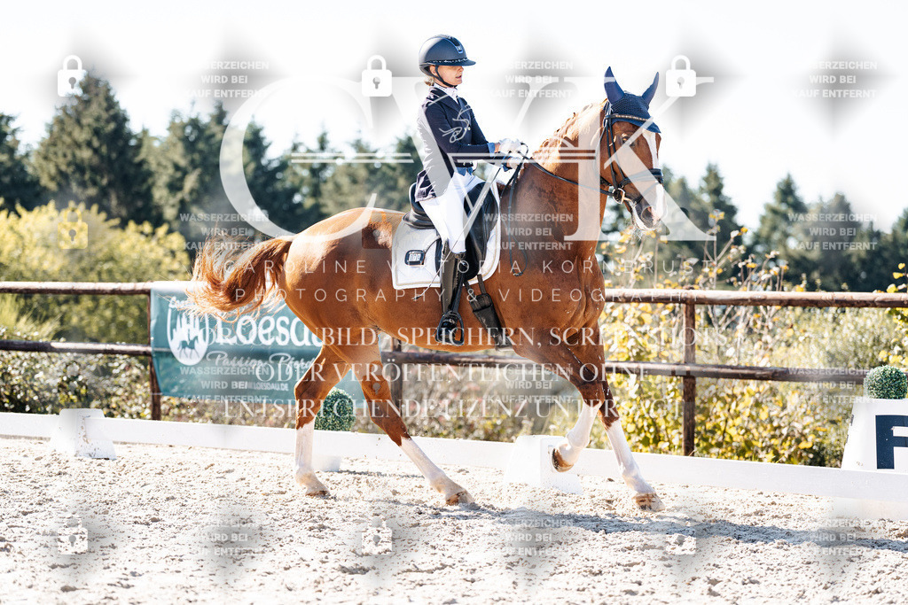 CK905518 | Turnierfotografie Pferdefotografie Trier Rheinland-Pfalz Pferdesport Reitsport Tierfotografie Sportfotografie Pferdevideo Pferdevideografie Equestrianvideography equestrianphotography  - Realisiert mit Pictrs.com