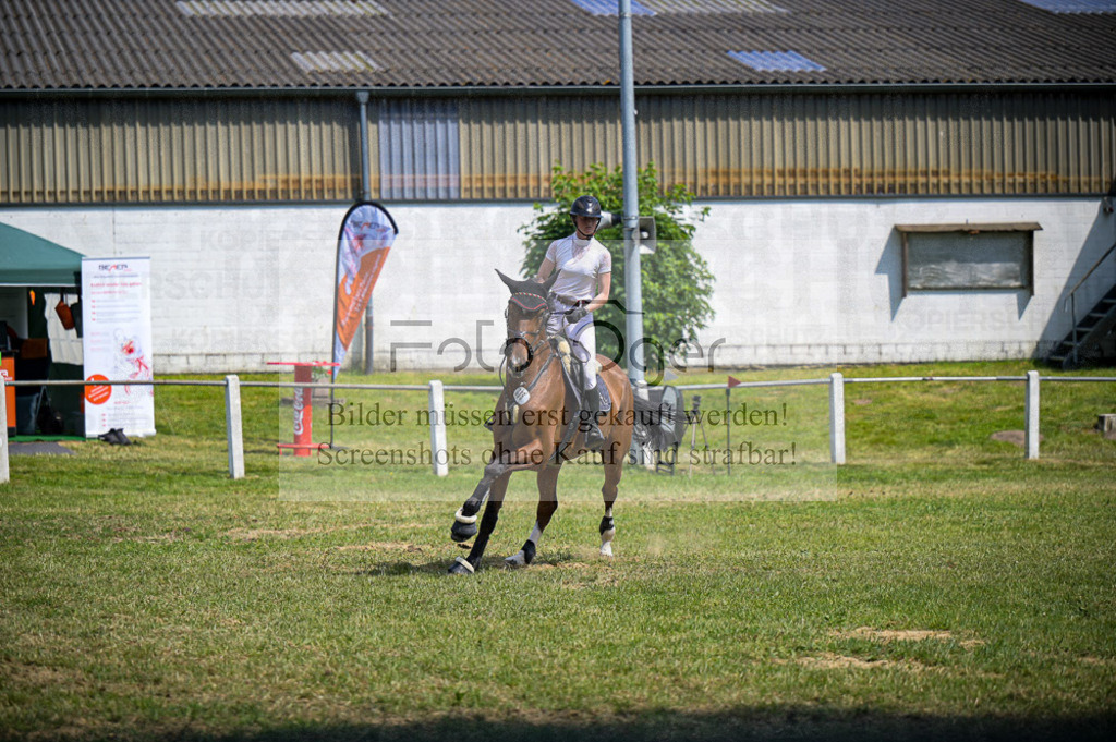 Reitturnier Voxtrup | Entdecke hochwertige Reitturnierfotos von Foto Oger. Professionell, emotional und authentisch – jetzt Lieblingsmomente im Shop bestellen.Deutschlandweite Turnierfotografie. - Realized with Pictrs.com