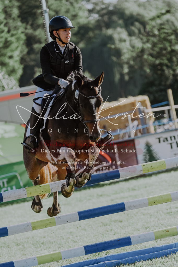 DSC_4488 | Pferde- und Turnierfotografie in Westsachsen. Pferdeportraits, Auftragszeichnungen und intuitive Kunst.