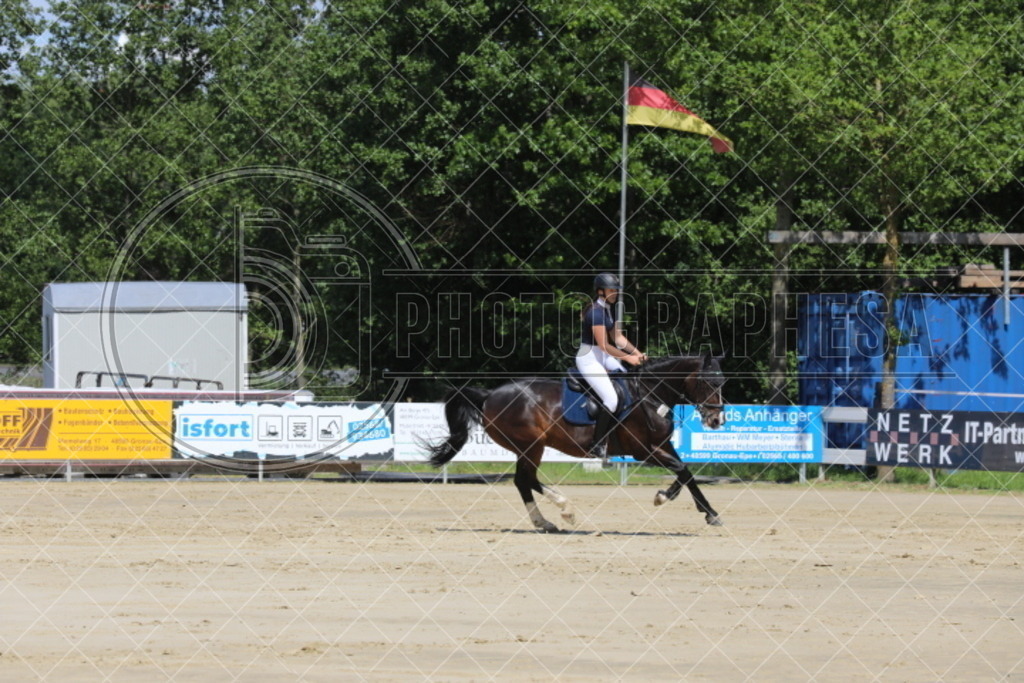 IMG_5055 | photographesa-joergens - Realisiert mit Pictrs.com