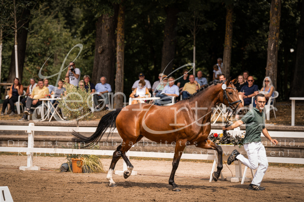 2. Fr00074 | Leoni Ertmer Photography - Realisiert mit Pictrs.com