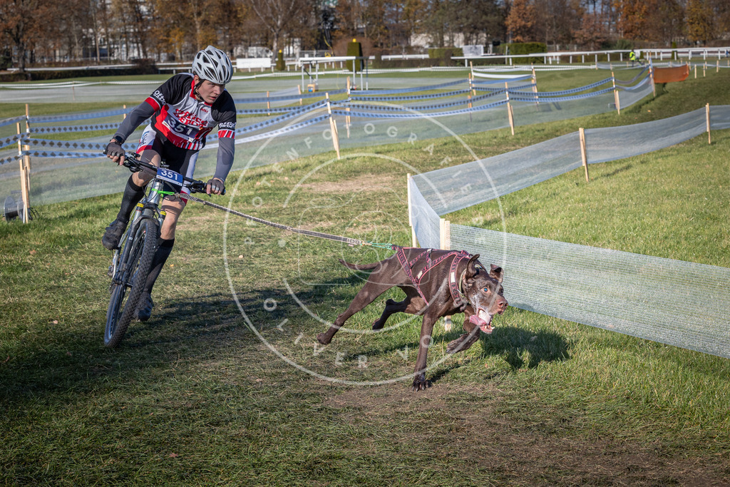 CaniXpix_0L8A6075 | Hundefotografie, Tierfotograf, Pfotenfotografie, Fotoshooting Hund, Hunde Portrait, Hundesport, Hundeportraits, Heideshooting, Hunde, Sportfotograf, Hundefotograf, Turnierhundsport, THS,  - Realisiert mit Pictrs.com