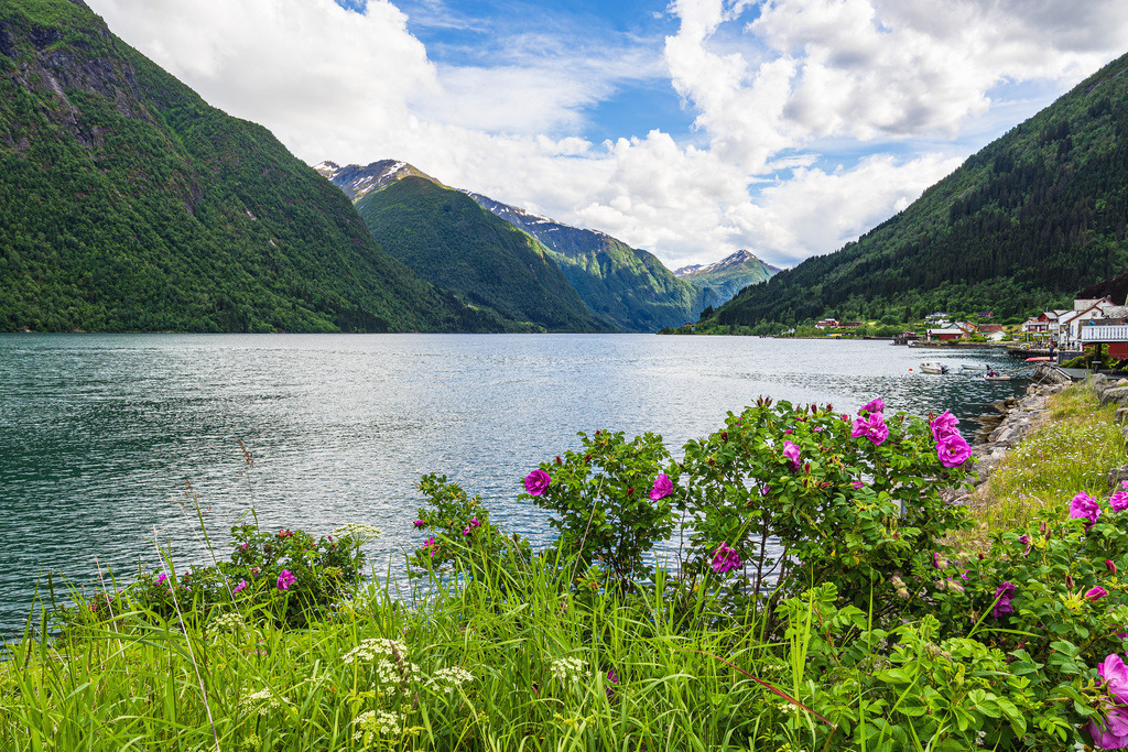 Blick über den Fjærlandsfjord in Norwegen | Blick über den Fjærlandsfjord in Norwegen.