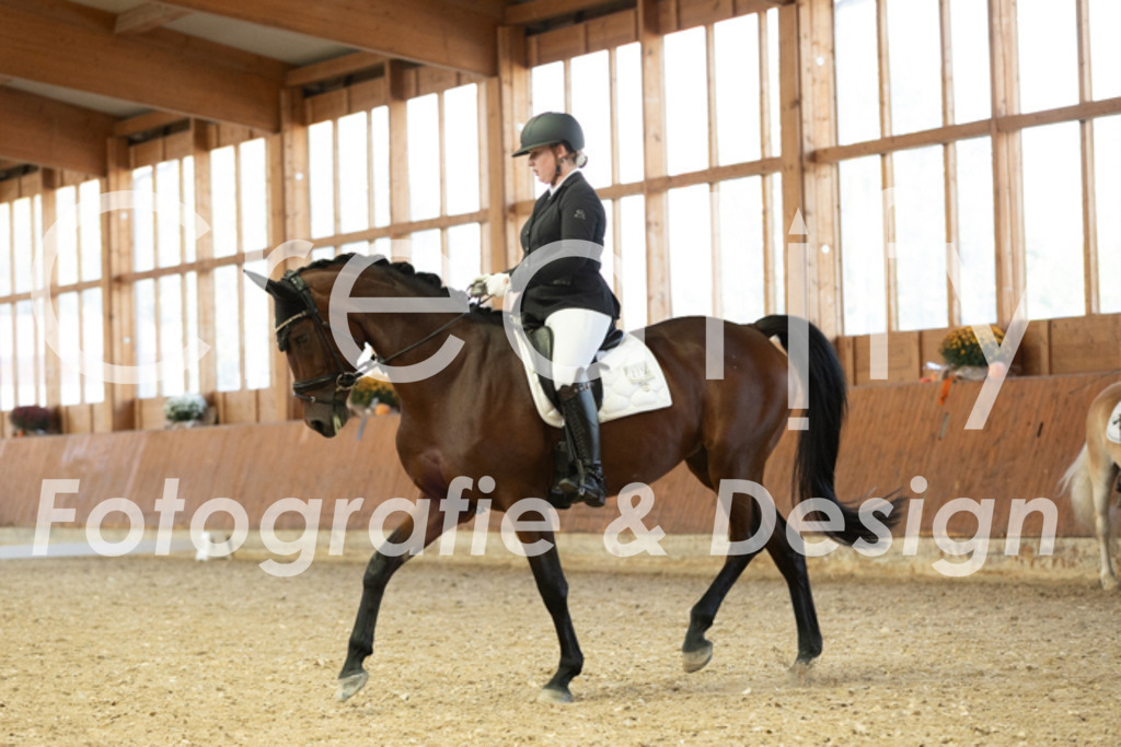 IMG_5397 | Creatify Fotografie