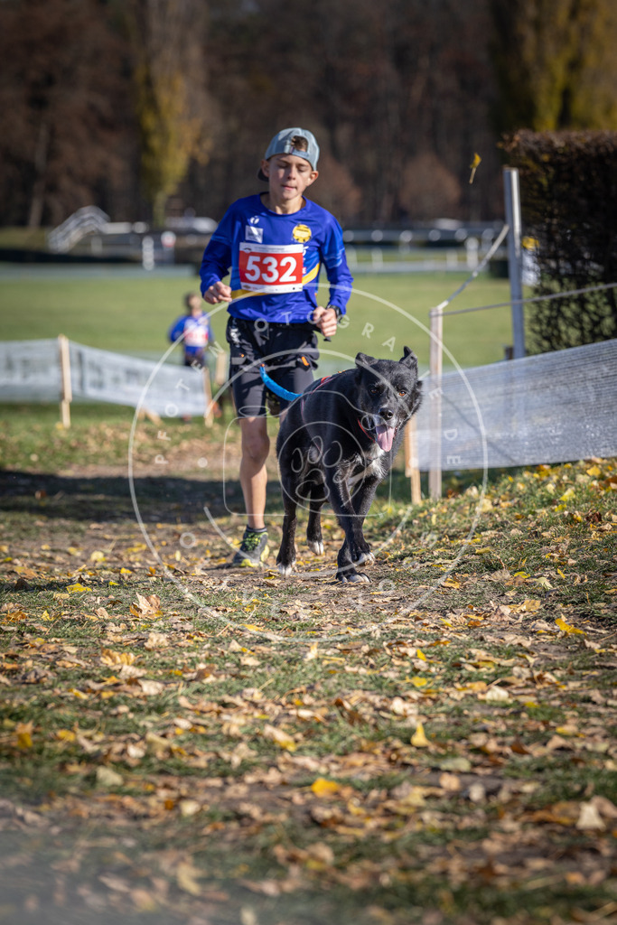 CaniXpix_DV3A8251 | Hundefotografie, Tierfotograf, Pfotenfotografie, Fotoshooting Hund, Hunde Portrait, Hundesport, Hundeportraits, Heideshooting, Hunde, Sportfotograf, Hundefotograf, Turnierhundsport, THS,  - Realisiert mit Pictrs.com
