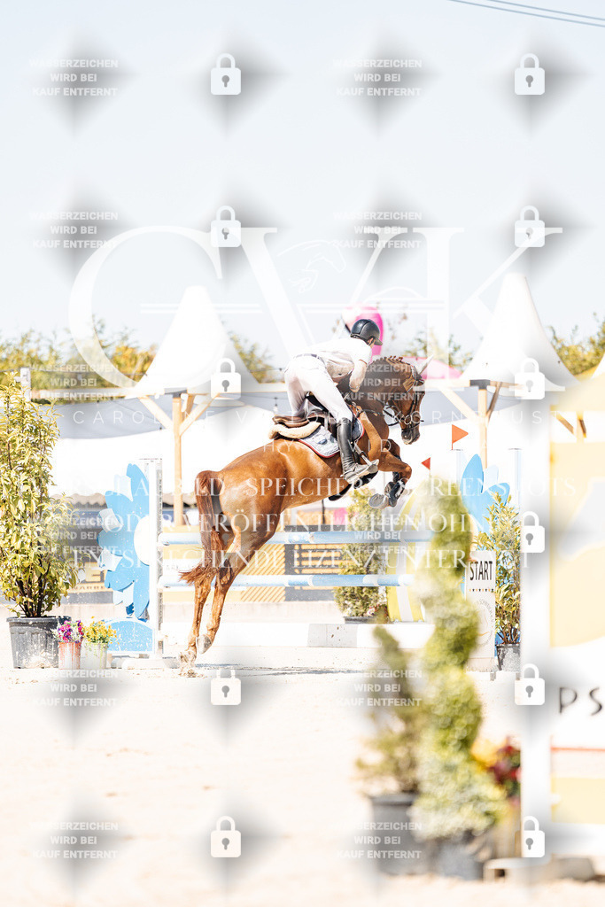 CK909398 | Turnierfotografie Pferdefotografie Trier Rheinland-Pfalz Pferdesport Reitsport Tierfotografie Sportfotografie Pferdevideo Pferdevideografie Equestrianvideography equestrianphotography  - Realisiert mit Pictrs.com