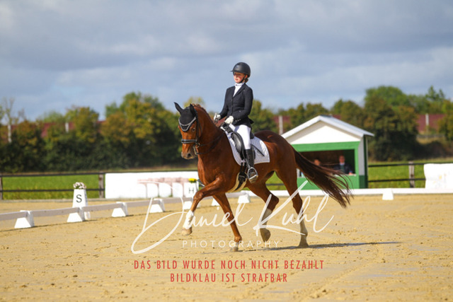 DKP45153 | Turniersportfotografie; Pferdefotografie; Dressurfotografie