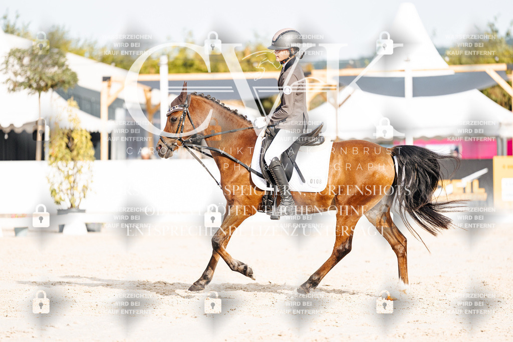 CK904107 | Turnierfotografie Pferdefotografie Trier Rheinland-Pfalz Pferdesport Reitsport Tierfotografie Sportfotografie Pferdevideo Pferdevideografie Equestrianvideography equestrianphotography  - Realisiert mit Pictrs.com