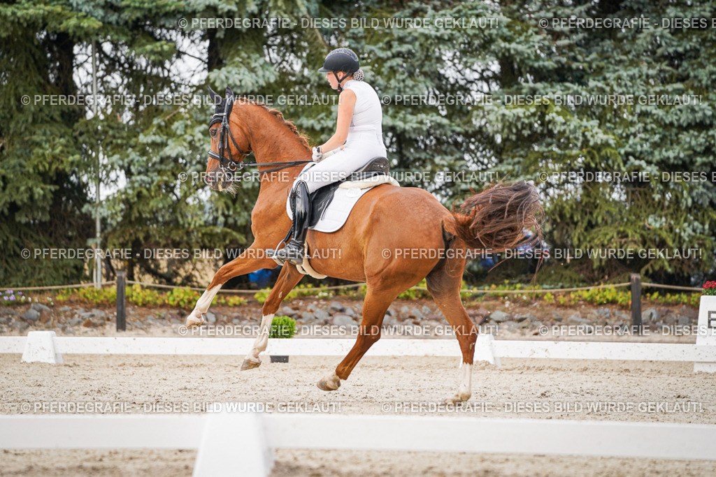 DSC08623 | Pferdegrafie