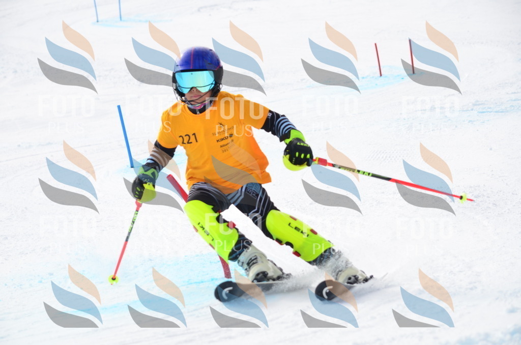 C8246 | holidayphoto