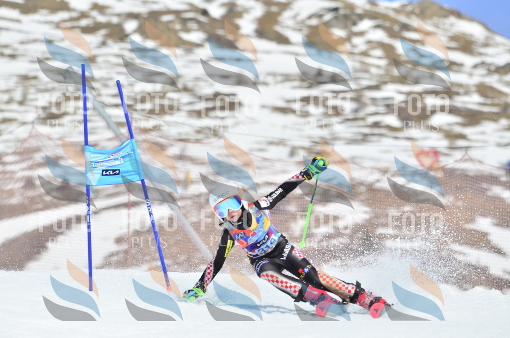 _ELE2312 | holidayphoto