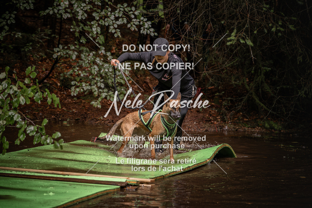 nelerasche_Wingst_Sa1330-1400_75 | nelerasche