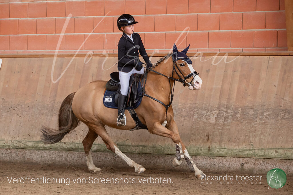 260329_Barop_15_045 | farbklaex.com