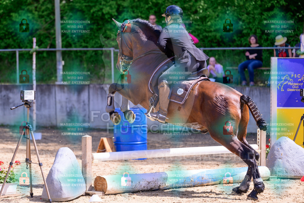 03052026-Giesenbach-04-Stiltrail-0069 | Fokus Hufschlag Fotografie - Realisiert mit Pictrs.com