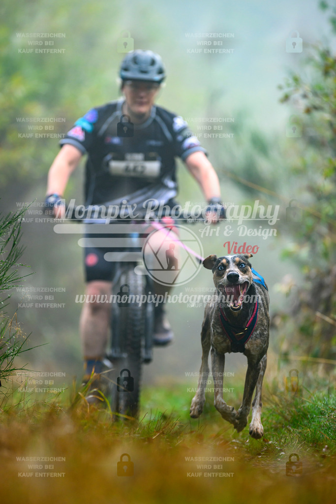 MompixPhotography_20TSB_E4_Bike-144 | PayLife