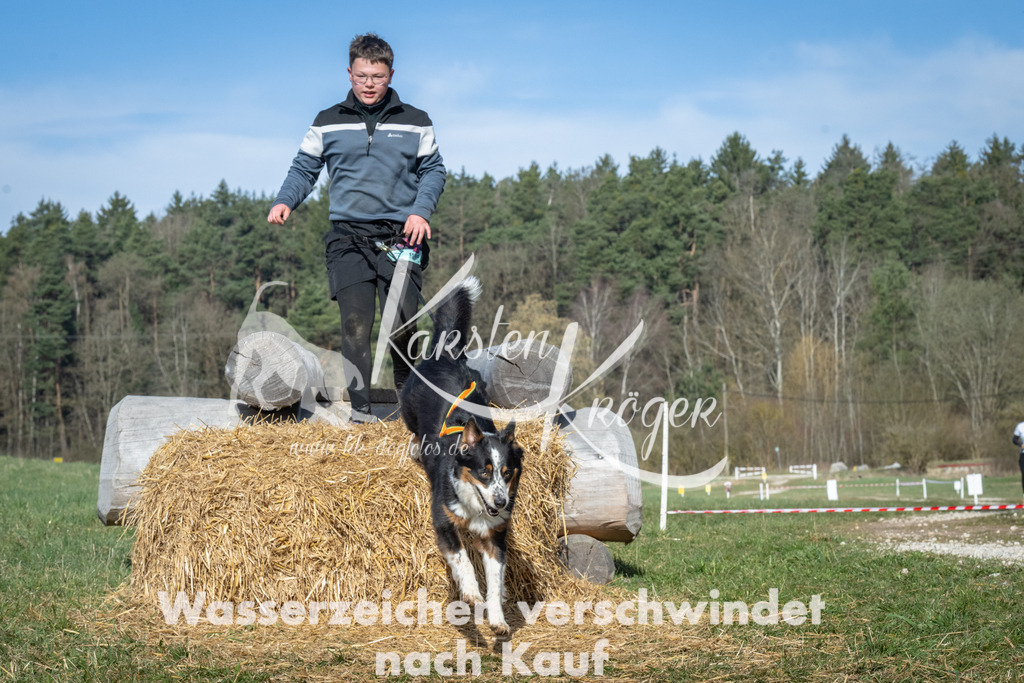 0932_ZZ94006 | kk-dogfotos