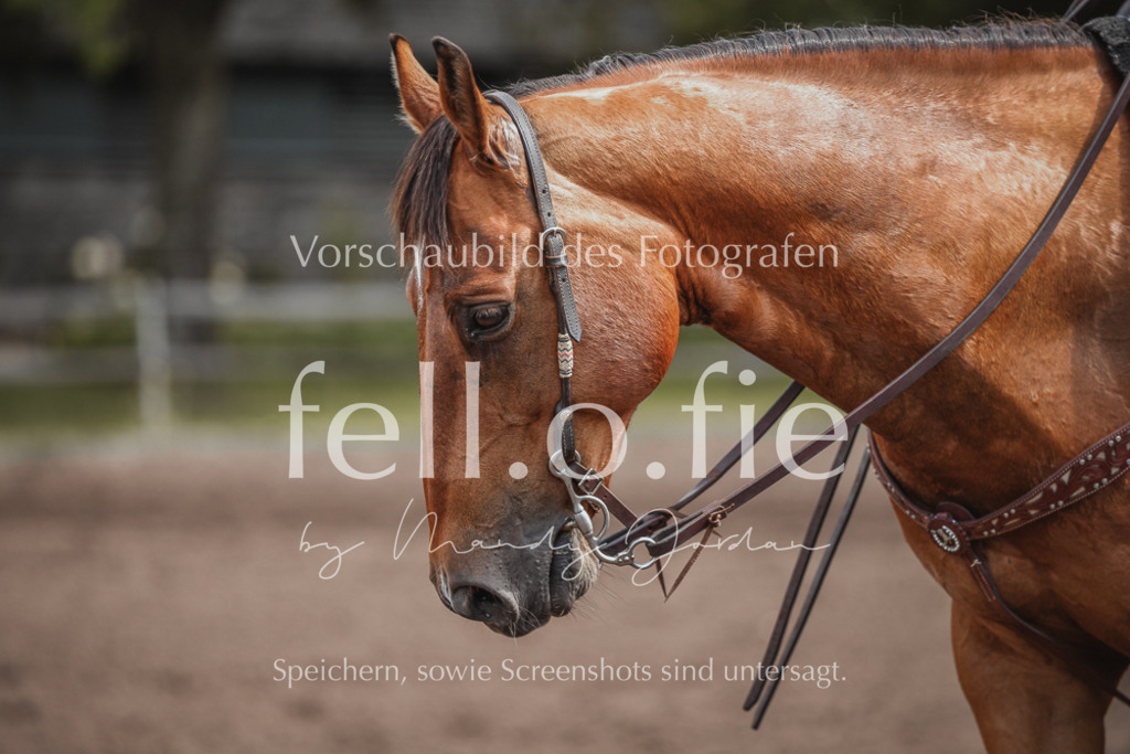 fell.o.fie_mandyjordan_2024_06_07836 | Mandy Klecke Fellfotografie, fell.o.fie Fotografenshop - Realisiert mit Pictrs.com