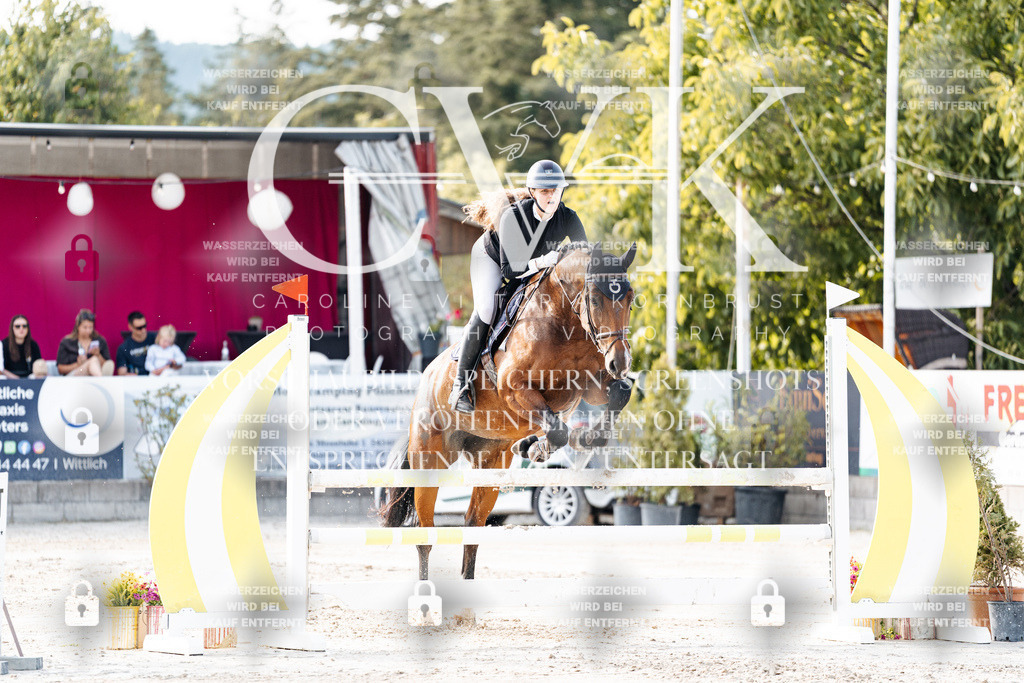 CK906470 | Turnierfotografie Pferdefotografie Trier Rheinland-Pfalz Pferdesport Reitsport Tierfotografie Sportfotografie Pferdevideo Pferdevideografie Equestrianvideography equestrianphotography  - Realisiert mit Pictrs.com