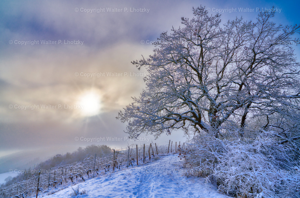 LHO04531 | wlstudio - Realisiert mit Pictrs.com