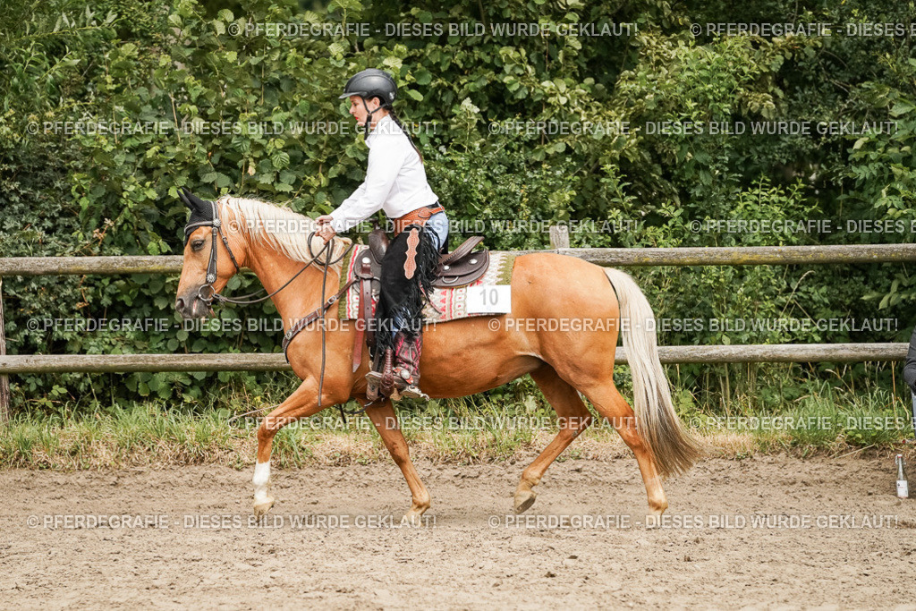 DSC00234 | Pferdegrafie