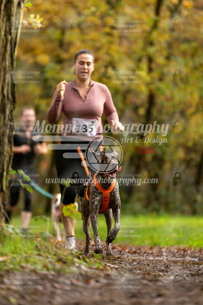 MompixPhotography_Bischwiller23_Canicross-134 | PayLife