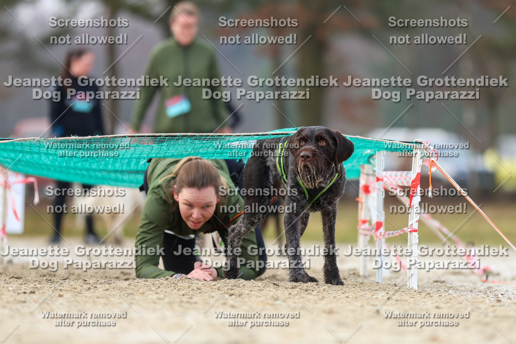 Dog Paparazzi - Strongdog North Mrz26-4129 | Dog Paparazzi Jeanette Grottendiek Fotografie & Videografie - Realisiert mit Pictrs.com