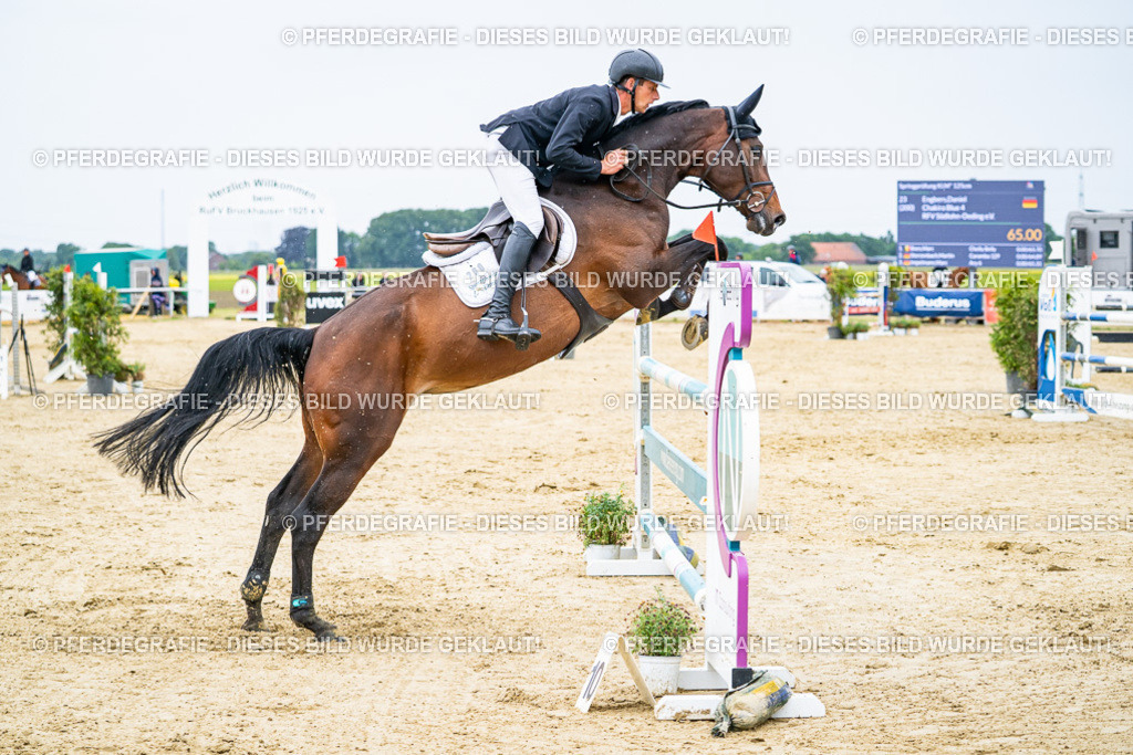 DSC07292 | Pferdegrafie