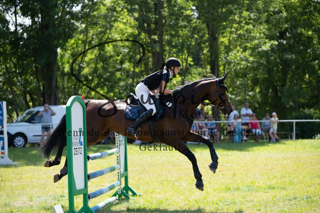 A7V06377 | Pferdefotograf