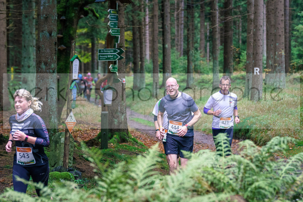 Herbstlauf 2017 | Neuhaus/Rwg. - Masserberg am 1. Oktober 2017