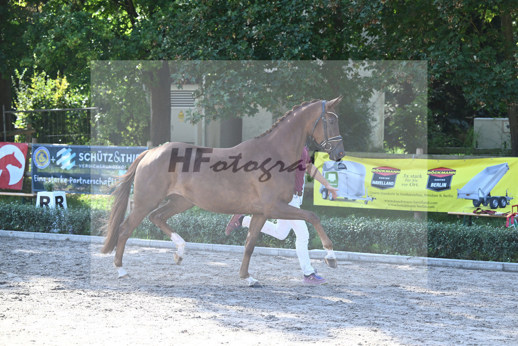 Kat-Nr. 20 Qaskiya_Kloessinger_36230819 | hf-fotografie - Realisiert mit Pictrs.com