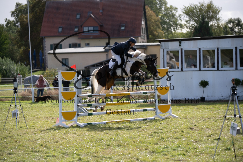 A7V06928 | Pferdefotograf